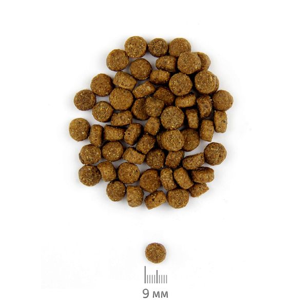 Сухий корм Chicopee CNL Puppy Lamb & Rice для цуценят всіх порід з ягням і рісом 2 кг 015110 фото