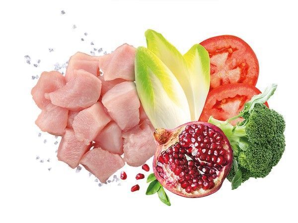 Монопротеїновий корм Exclusion Adult Chicken Small Breed для дорослих собак дрібних порід з куркою 2 кг ngacs-2 фото