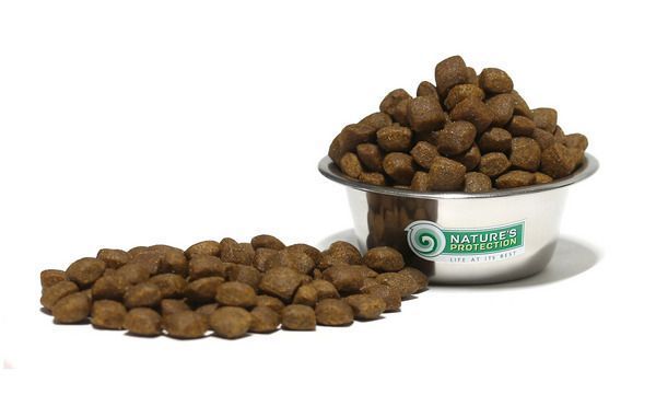 Сухой корм NP Active Sport Adult All Breeds для взрослых спортивных, охотничьих и служебных собак 18 кг NPB46032 фото