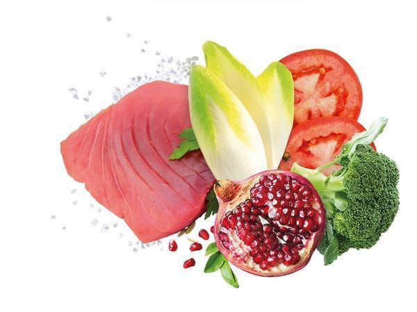 Монопротеїновий корм Exclusion Adult Tuna Medium Breed для дорослих собак середніх порід з тунцем 12 кг ngatm-12 фото