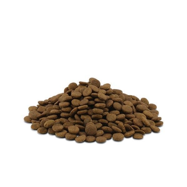 Сухой гипоаллергенный веганский корм Essential Foods Eternal Living для взрослых собак с чувствительным пищеварением или склонностью к аллергиям 2.5 кг 1113_UK фото