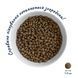 Сухий корм Home Food Puppy Mini для цуценят малих порід з ягнятиною та рисом 10 кг hf2027100 фото 2